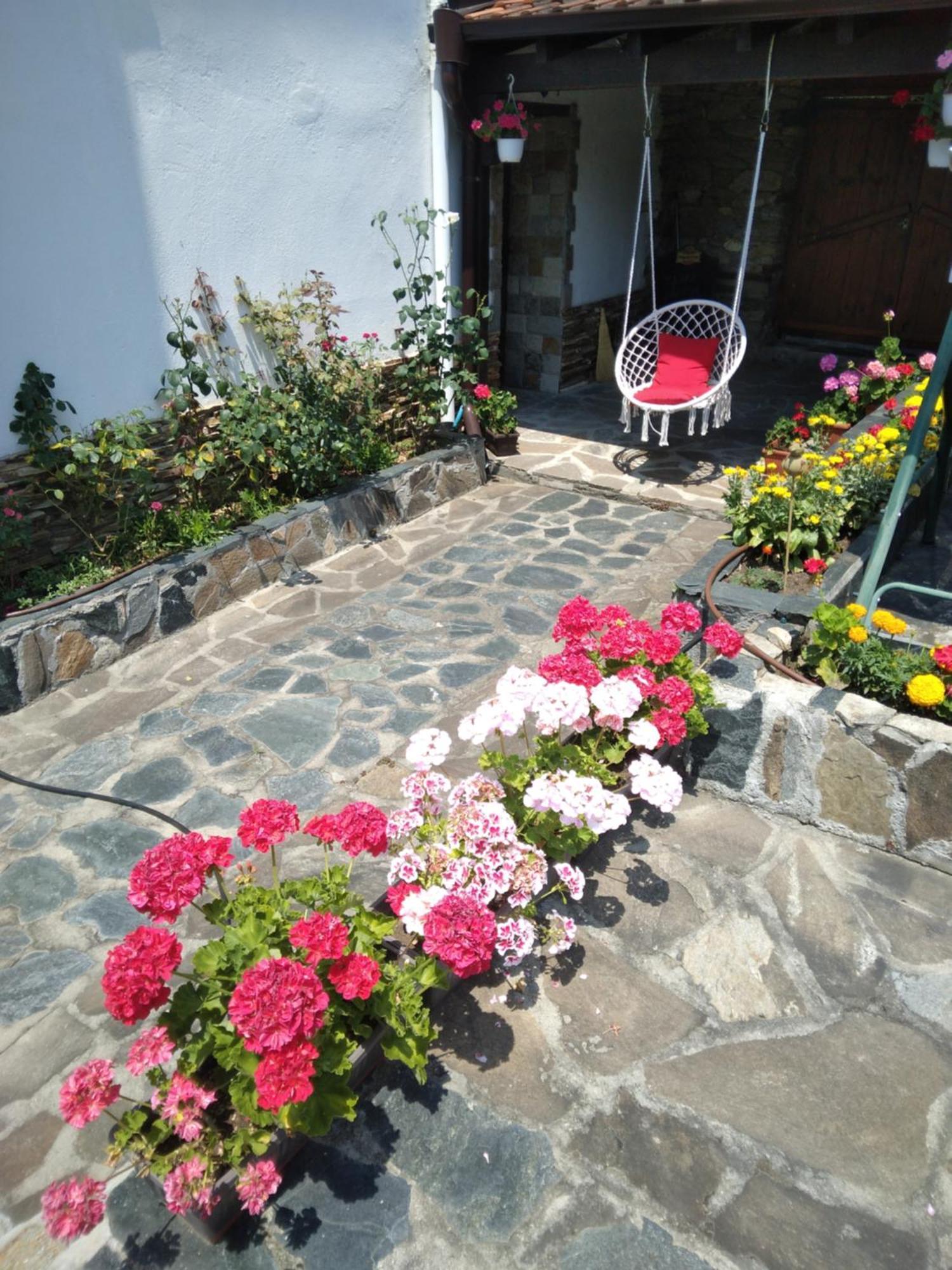 Guest House Popov Marchevo Eksteriør billede